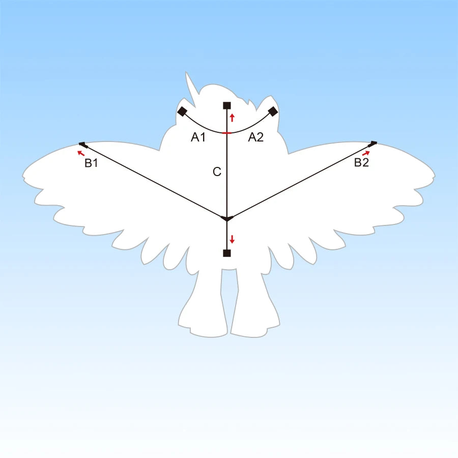 Diagram of a bird with labeled points on a blue background