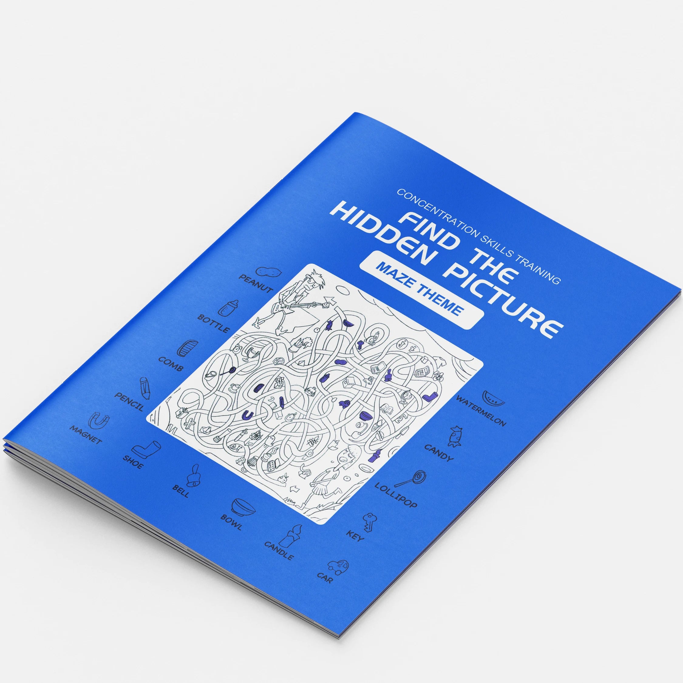 Blue book titled 'Find the Hidden Picture' with a maze illustration on a white background