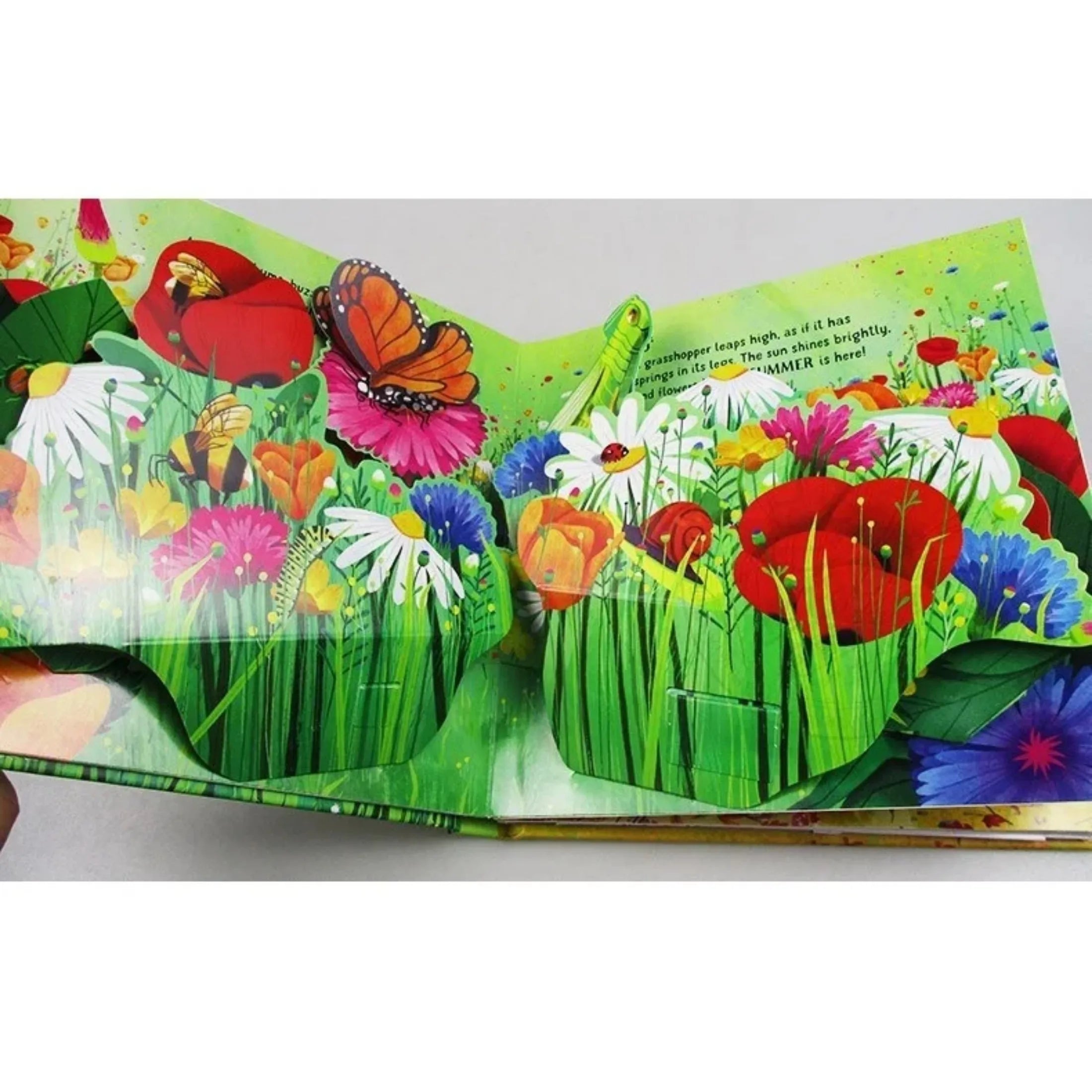 Colorful children's book open to a page with flowers and butterflies on a white background